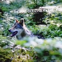 Film sur l'histoire d'un loup