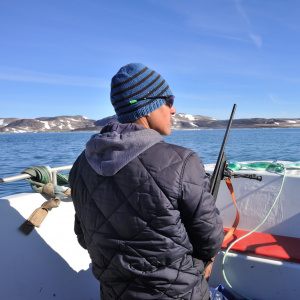 Chasse en bateau @ V.Hilaire-Greenlandia
