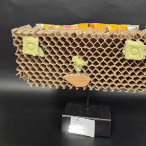 Capture d'écran 2026-02-16 120216